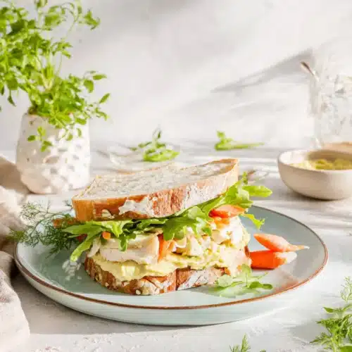 Healthy lunch with turkey sandwich and veggies