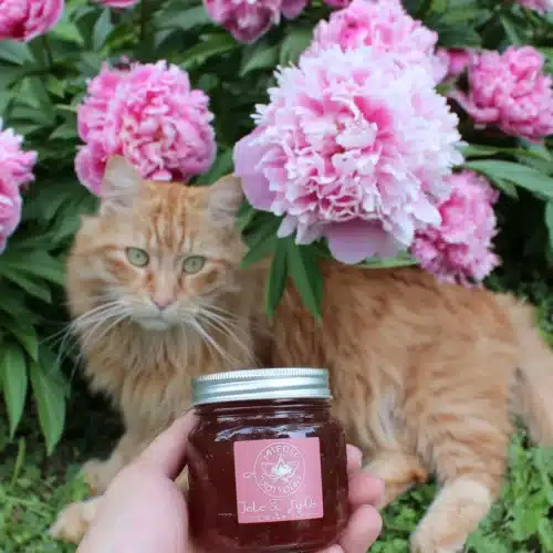 Delicious wild flower jelly with blooming flowers in background.