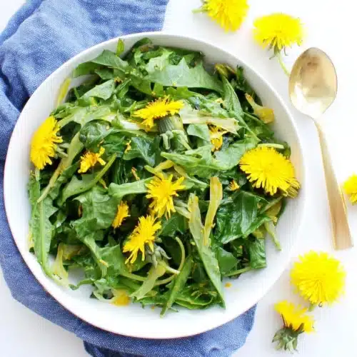 Fresh dandelion leaf salad with fennel and mustard dressing.