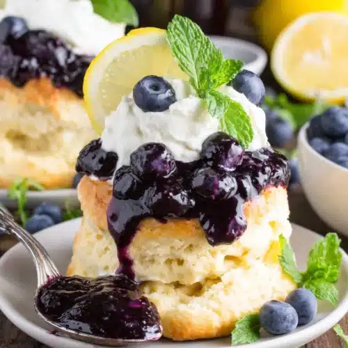 Blueberry shortcake with whipped cream, fresh blueberries, and mint garnish