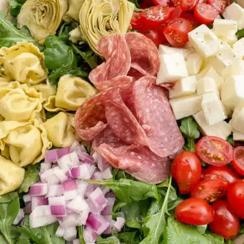 Delicious Tortellini and Antipasto Salad to Delight You 1 Tortellini and antipasto salad with fresh greens, salami, tomatoes, and mozzarella
