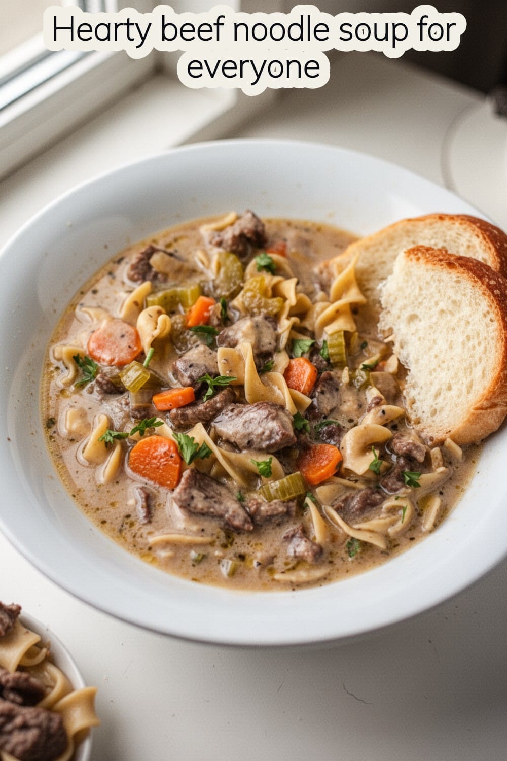 beef noodle soup