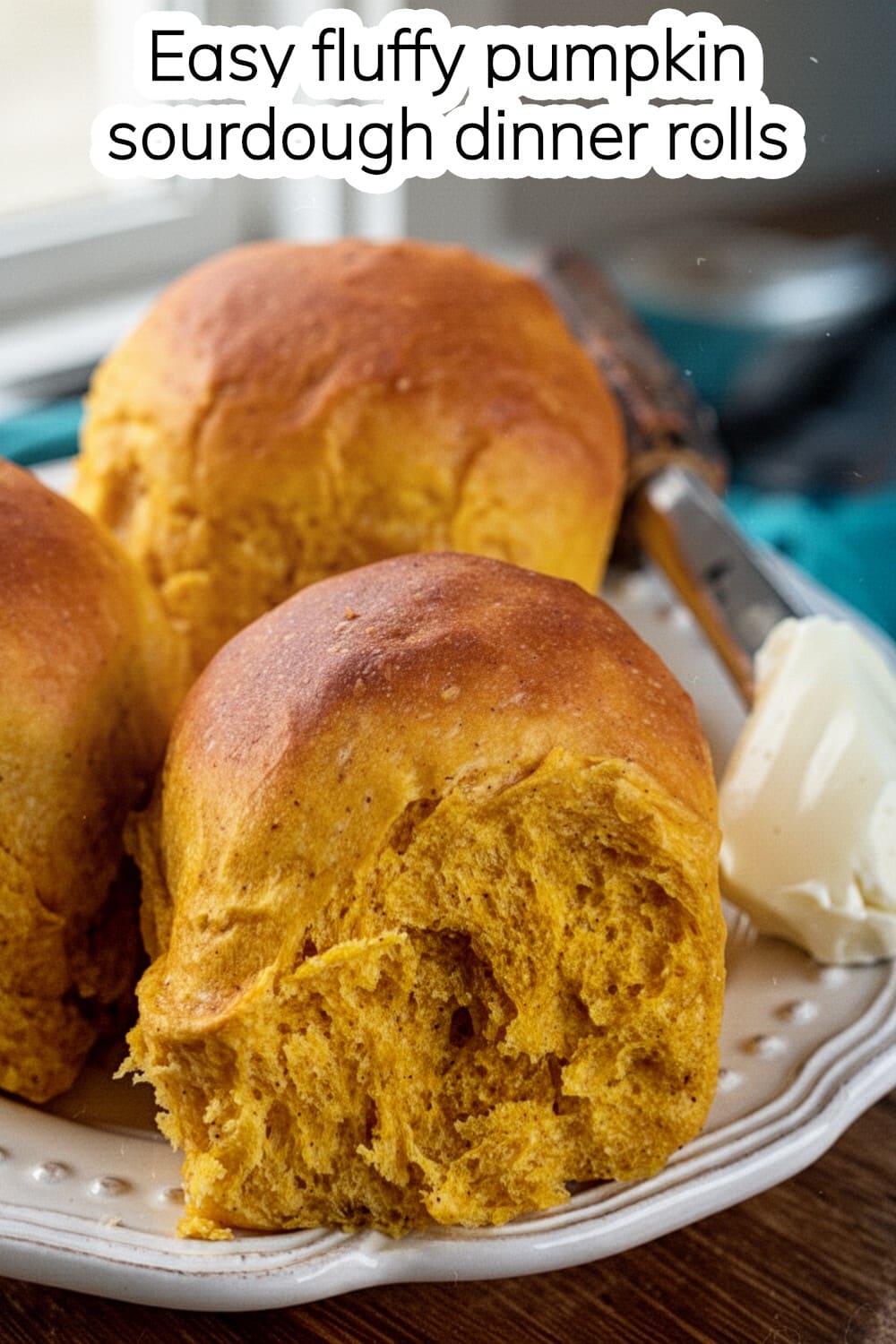 fluffy pumpkin sourdough dinner rolls